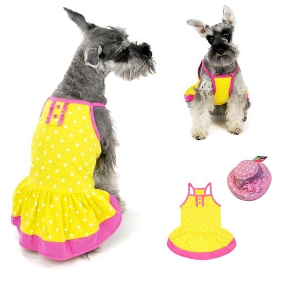 Vibrant Life Other - ⚠️SOLD-1/24/24🐰⚠️NWT Vibrant Life Dog Dress